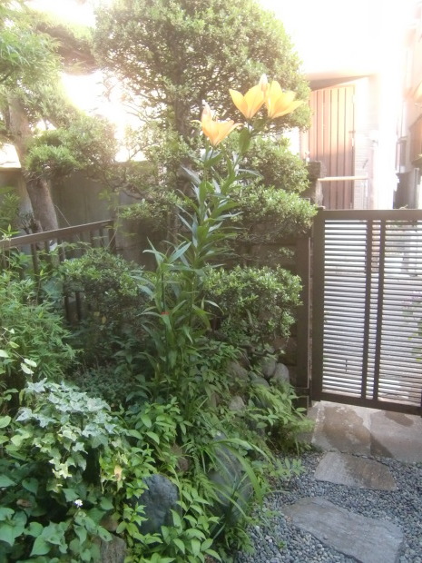 f0329849_13334960.jpg