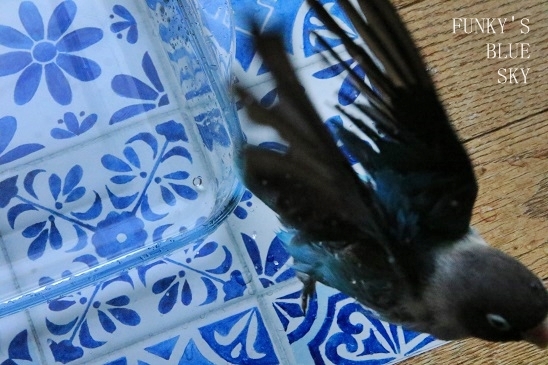c0145250_10011254.jpg
