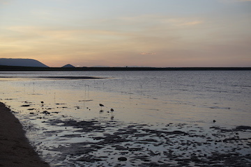 e0138350_21480536.jpg