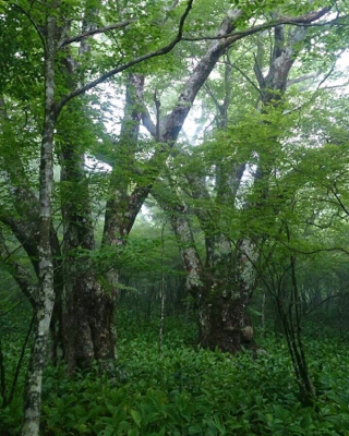 f0226152_14115791.jpg