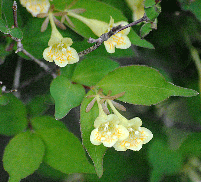 a0001354_22470187.gif