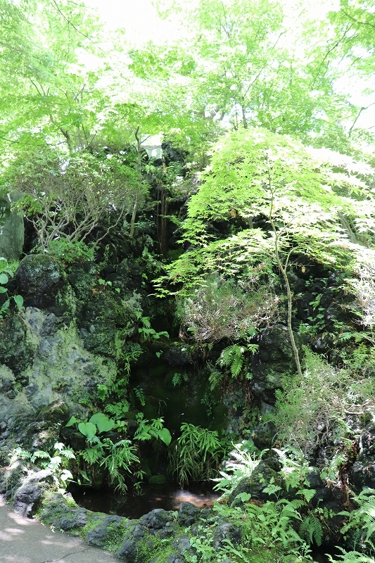 b0250154_06515543.jpg