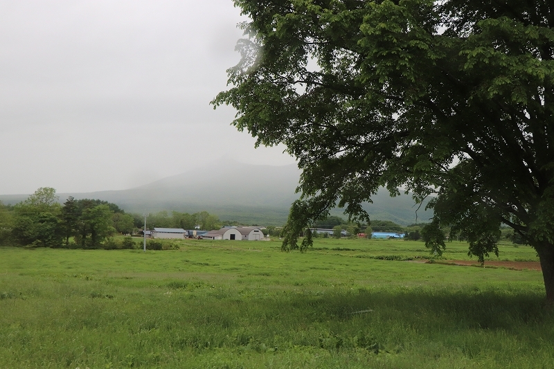 b0250154_11212114.jpg