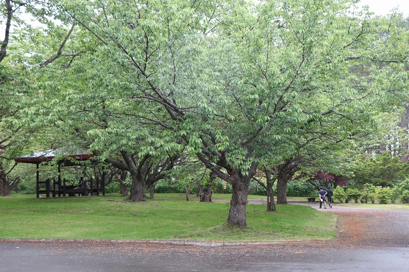 b0250154_11230087.jpg