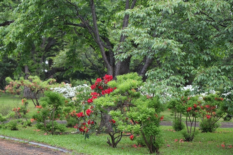 b0250154_21433958.jpg