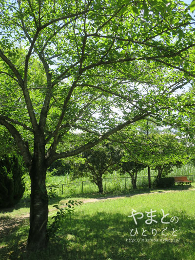 a0286855_06101295.jpg