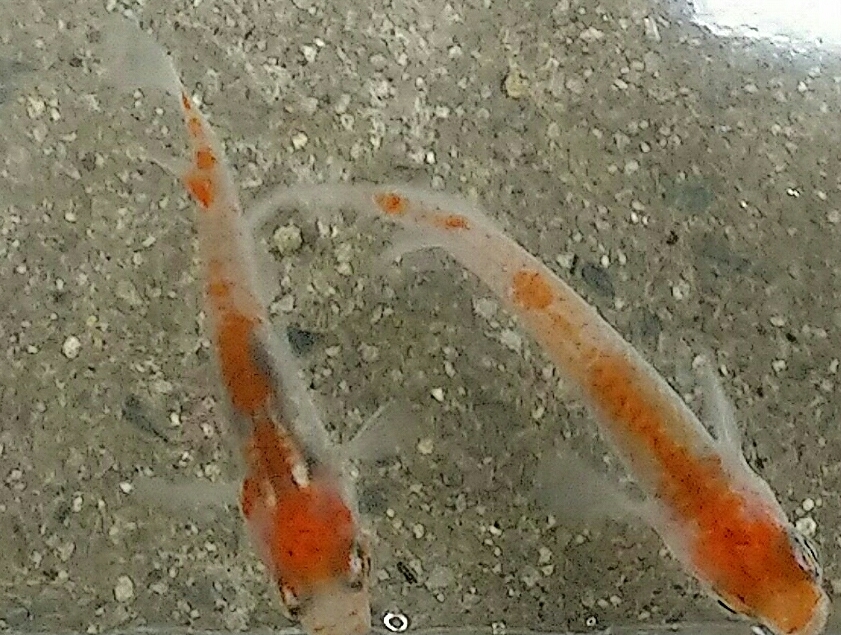 e0356962_13120674.jpg