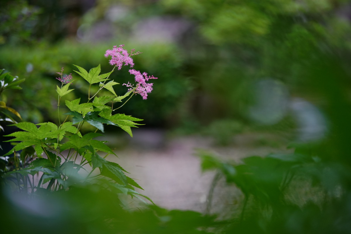 a0083081_16060430.jpg