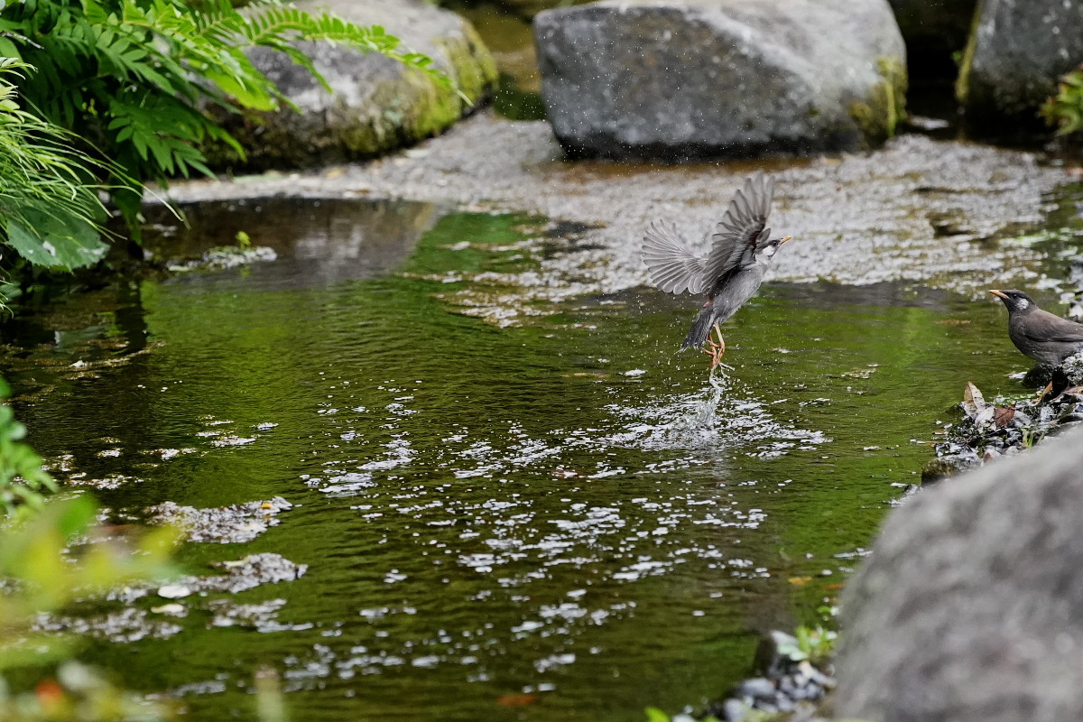 a0083081_16063133.jpg