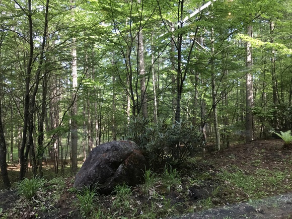e0024081_6232750.jpg
