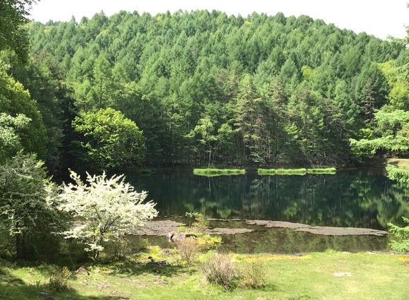 e0024081_6244030.jpg