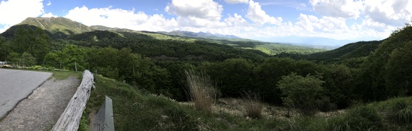 e0024081_6383395.jpg