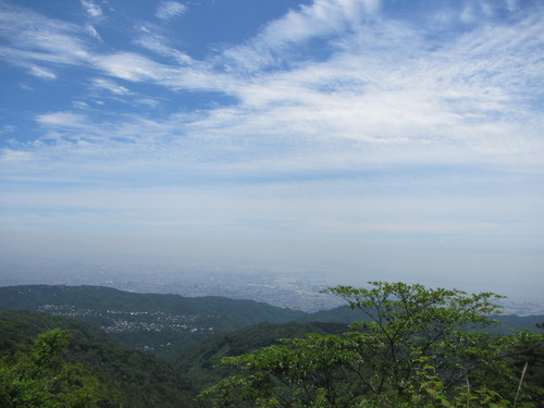 a0251786_17323645.jpg
