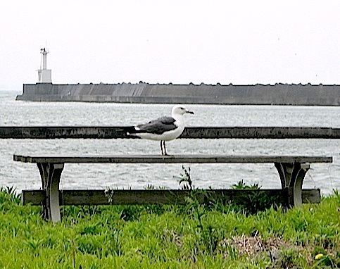 d0329286_23234541.jpg