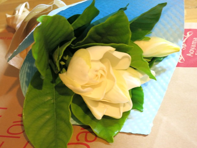 e0182389_1715757.jpg