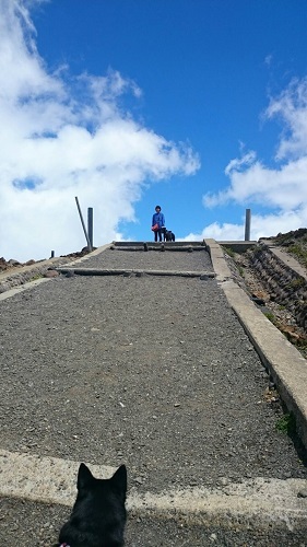c0337990_18370248.jpg