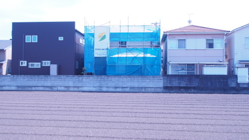 e0064493_11204431.jpg