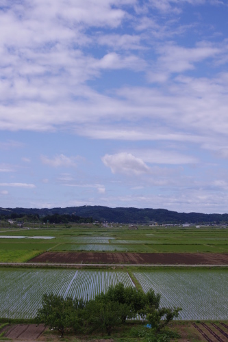 c0337494_16564647.jpg