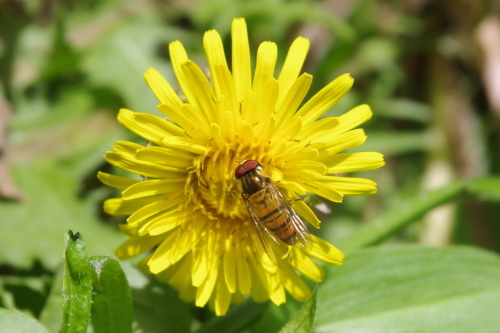 c0337494_16573218.jpg