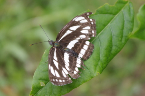 c0337494_16575810.jpg