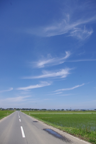 c0337494_17030835.jpg
