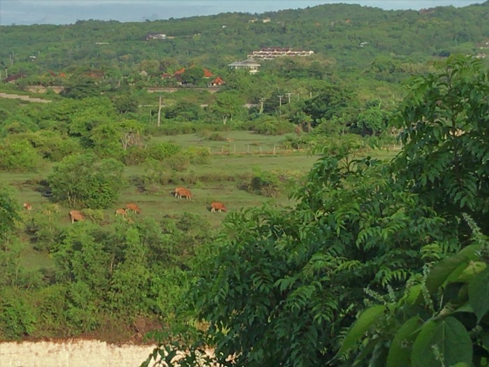 e0362195_19580291.jpg