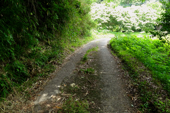 e0079696_19071663.jpg