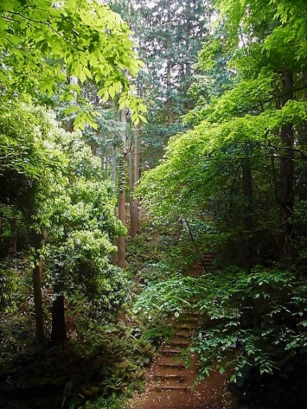 c0054498_122424.jpg