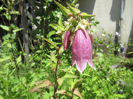 a0203003_12423100.jpg