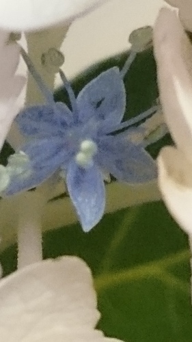 e0351303_20450724.jpg