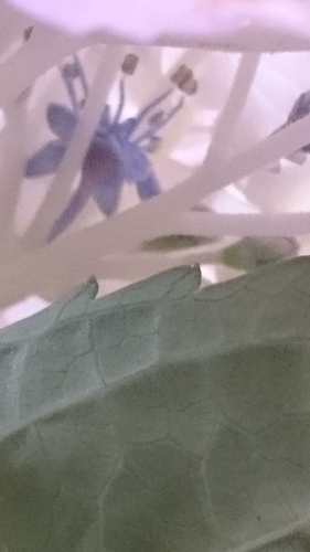 e0351303_20540339.jpg