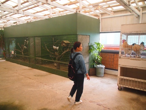 e0359604_15120722.jpg