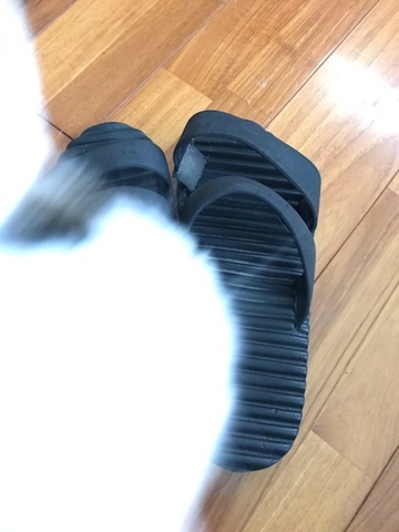 e0359604_19043933.jpg