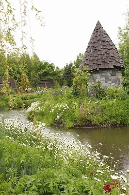 d0180506_11443298.jpg