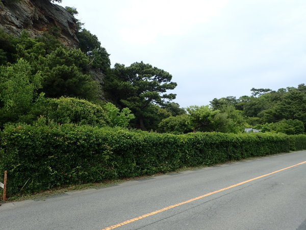 c0367107_20145227.jpg