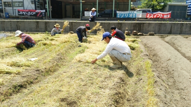 c0016208_01303696.jpg