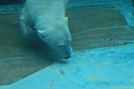 a0151913_21102146.jpg