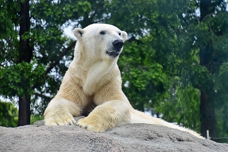 a0151913_2254635.jpg