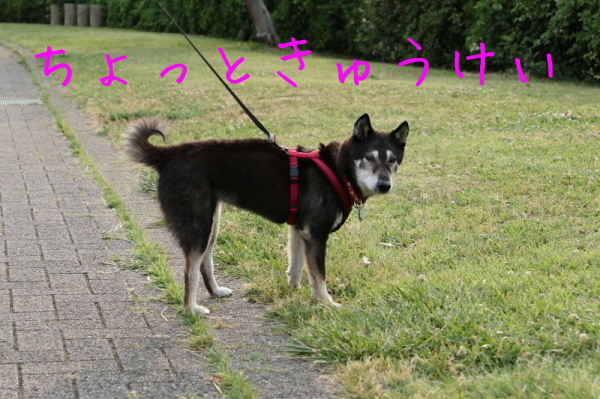 f0369014_14144805.jpg