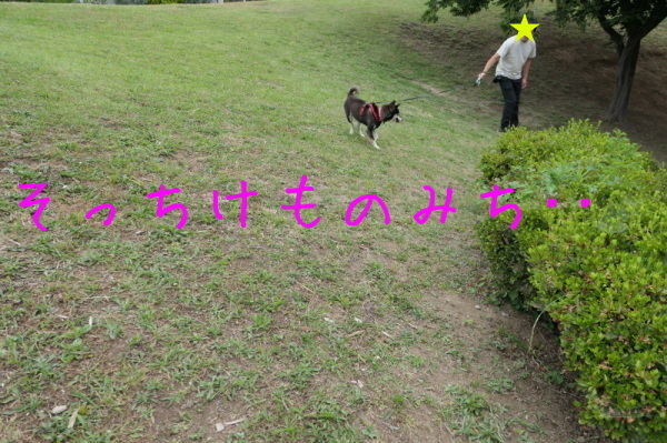 f0369014_14373947.jpg