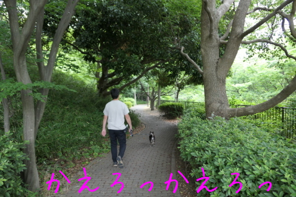 f0369014_14381943.jpg