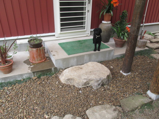 f0341616_16204274.jpg