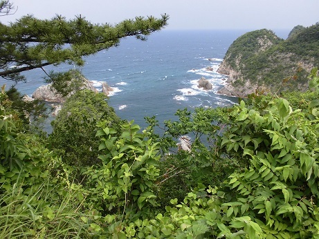 b0181818_21000804.jpg