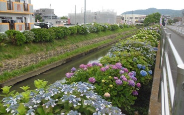 f0235026_22065725.jpg
