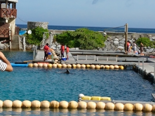 e0166032_22444729.jpg