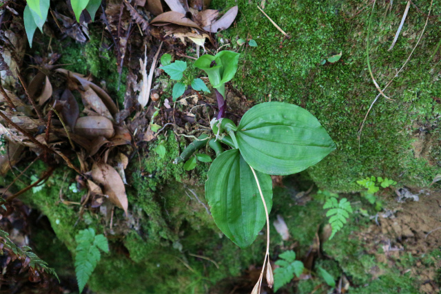 e0272335_19102565.jpg
