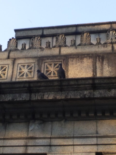 c0056437_13312795.jpg