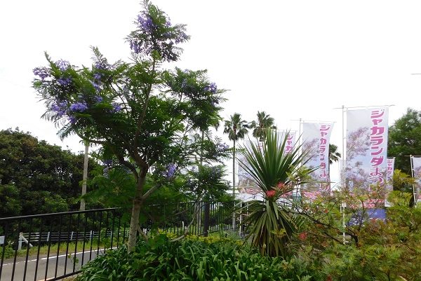 f0042737_9472894.jpg