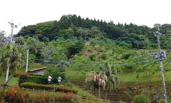 f0042737_948045.jpg