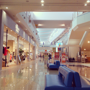 a0014840_20222471.jpg